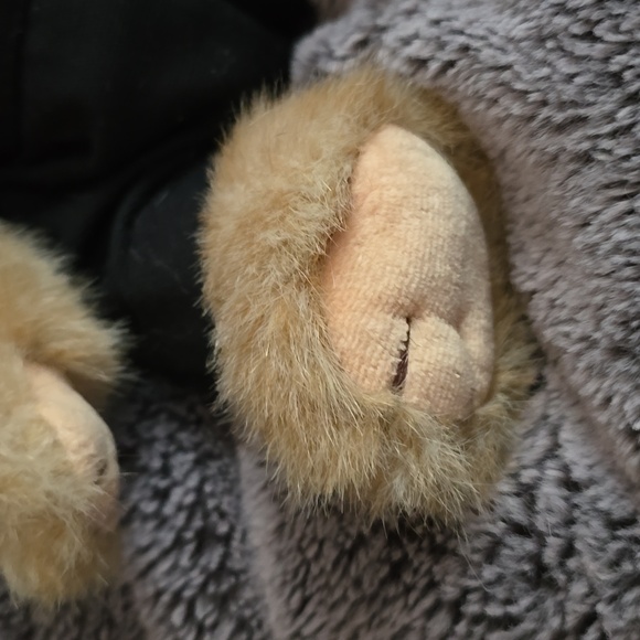 ❤️❤️BEARINGTON BEAR COLLECTION- ORIGINAL TAGS! - Picture 5 of 12